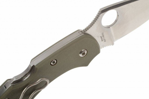 Складной нож Spyderco Dragonfly 2 Foliage Green - C28GPFG фото 16