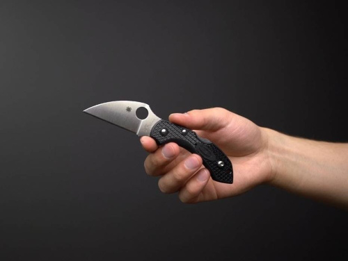 Складной нож Spyderco Dragonfly 2 Wharncliffe C28FPWCBK2 фото 7 Складной нож Spyderco Dragonfly 2 Wharncliffe C28FPWCBK2 фото 7